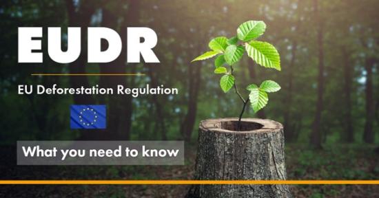 The New European Deforestation Regulation (EUDR) and Its Implications